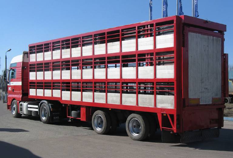 Заказать скотовоз для крупного рогатого скота из Лепсари в Слободу
